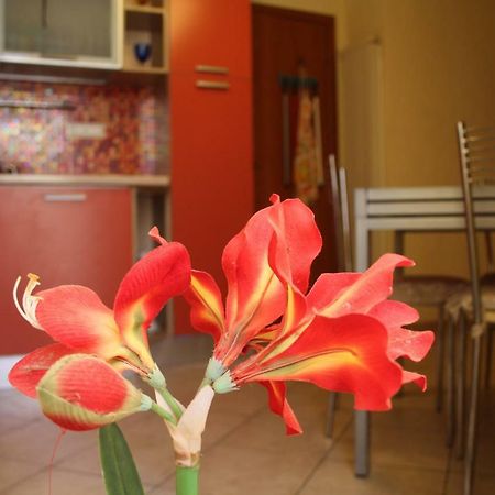 Pisa Town Bed and Breakfast Eksteriør billede