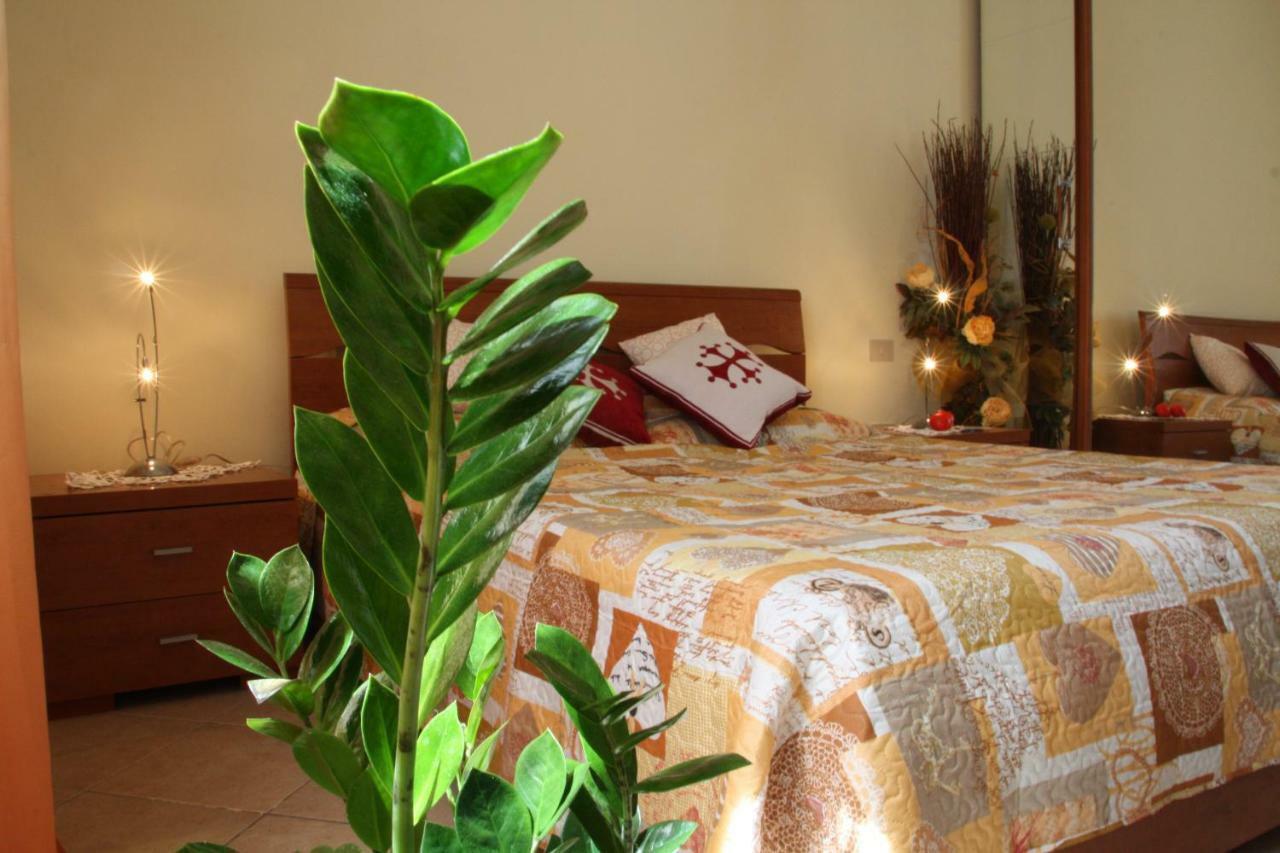 Pisa Town Bed and Breakfast Eksteriør billede