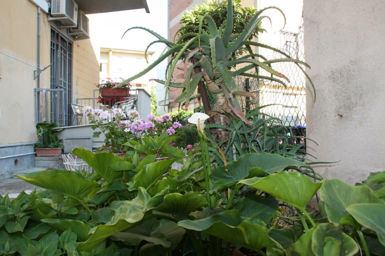 Pisa Town Bed and Breakfast Eksteriør billede