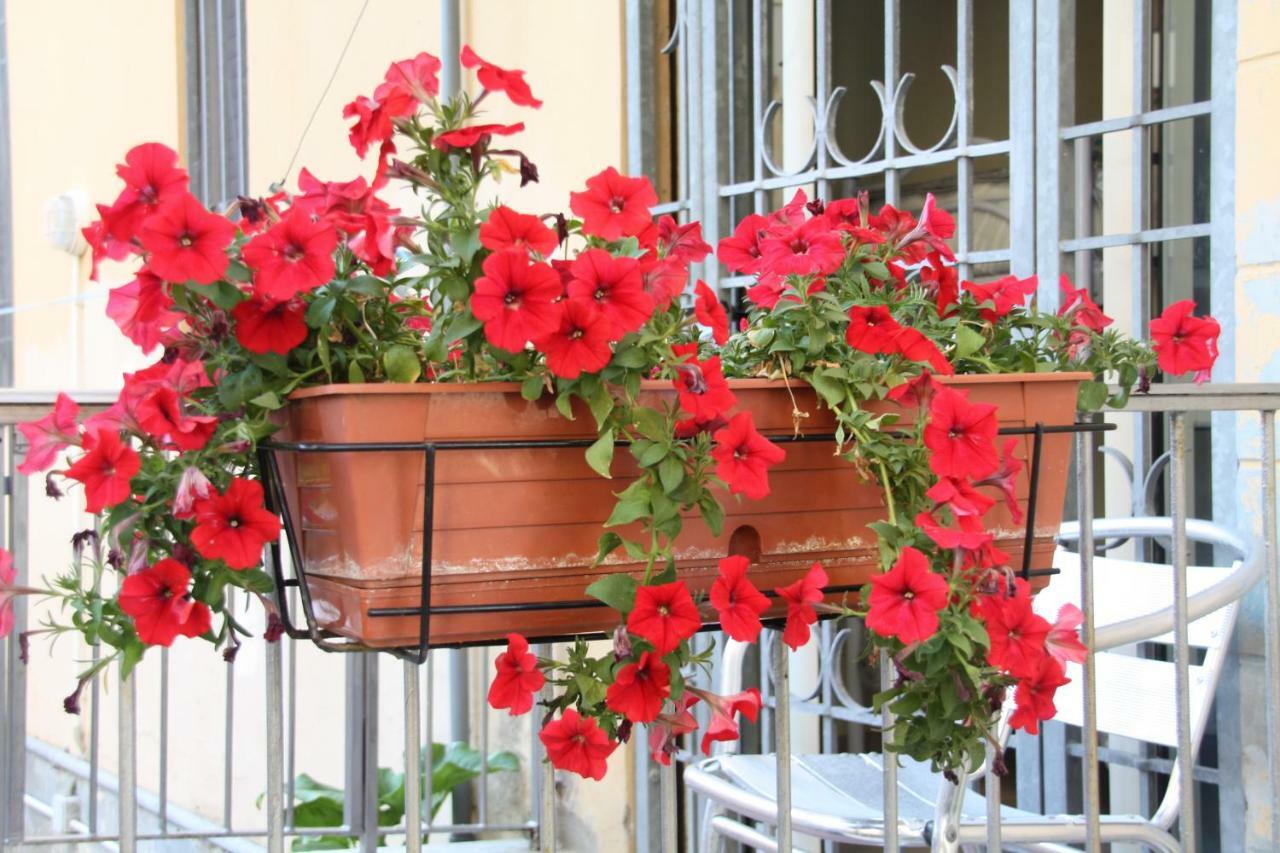 Pisa Town Bed and Breakfast Eksteriør billede